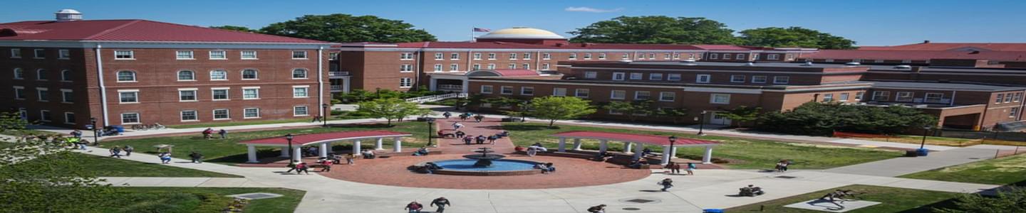 Longwood University banner